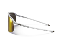 Julbo Density Gris/Marron S3CG