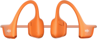 Shokz Shokz OpenDots One black