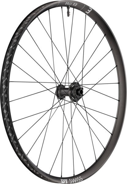 DT Swiss DT EX 1700 CLASSIC Laufrad 29" IS 30 110/15